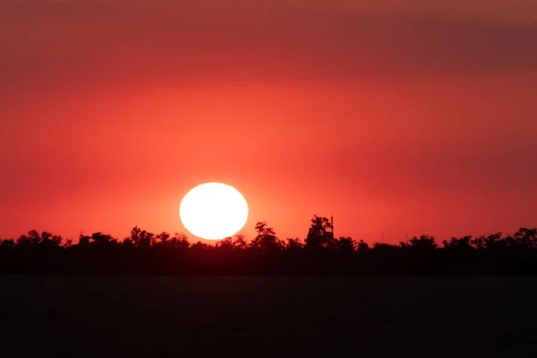 赤とオレンジの色合いの明るい色で美しい日当たりの良い夕日 — ストック写真