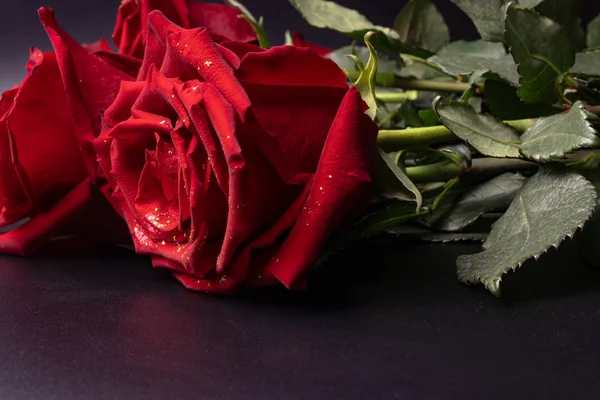 一朵玫瑰从花束突出在猩红谎言的特写o — 图库照片