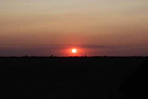 Champ de blé fauché. en arrière-plan est un coucher de soleil avec une couleur — Photo