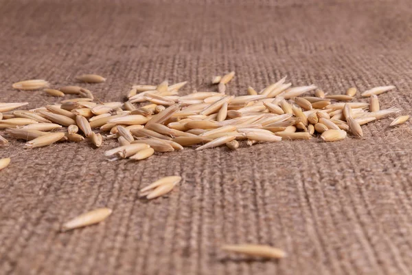 Side view on a small pile of oat grains scattered on textured ba — Stock Photo, Image