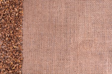 Bir tarafında kaşındıran kahverengi tohumlardan yapılmış düz bir çizgi.