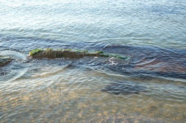 Sakin, berrak bir suyu ve dışarı bakan uzun bir taşı olan bir sahil.