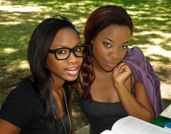 Dvě Krásné Africké Dívky Parku Jeden Brýlemi Otevřenou Knihou Royalty Free Stock Fotografie