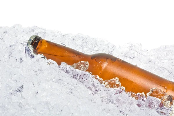 Garrafa Cerveja Descansando Uma Cama Gelo — Fotografia de Stock