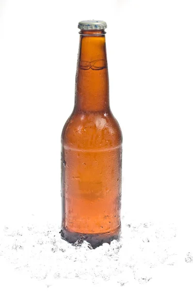 Láhev Piva Odpočívá Lůžku Ledu Stock Fotografie