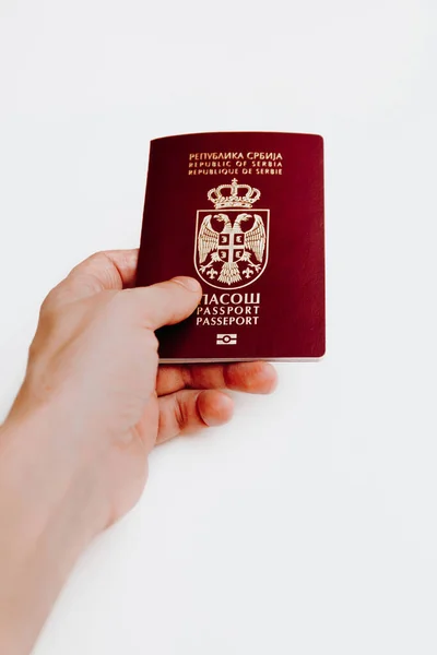 Beyaz arka planda izole edilmiş, Sırp biyometrik pasaportu elinde tutuyor