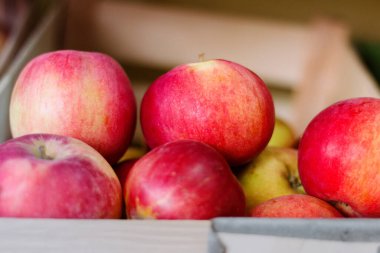 Bir kutuda taze olgun elmalar. Kırmızı sulu elmaların görüntüsünü kapat. 