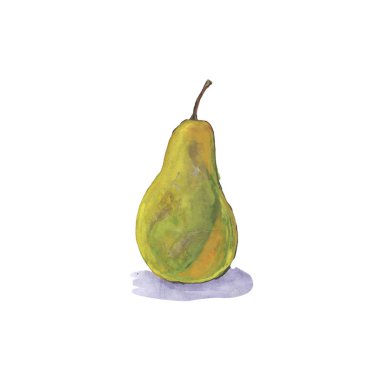 suluboya sarı armut meyve whole.hand-çizim resimde sarı armut beyaz arka plan üzerinde izole Şubesi ile