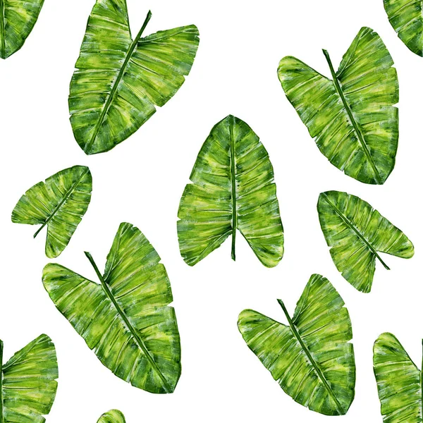 Seamless pattern with tropical green plants  . Watercolor botanical illustration for print on fabric or paper