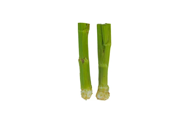 Čerstvá zelená celer zelenina z celerových hlav na bílém pozadí — Stock fotografie