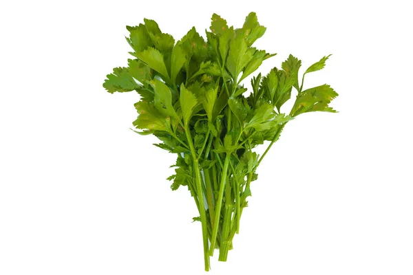 Fresh green celery vegetable of celery leaf on white background — Stock Photo, Image