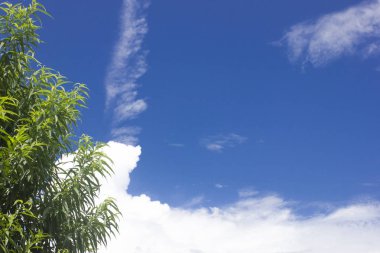 mavi gökyüzü bulut arka plan doku güzel vice ve hava