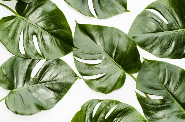 Grandes Feuilles Vertes Pour Arrangement Des Fleurs Monstera Part Choix — Photo