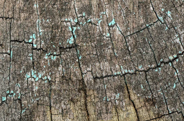 Strom Dřevěné Pozadí Textura Zavřít — Stock fotografie