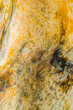 Ağaç, ahşap arka plan, doku. Kapat.  