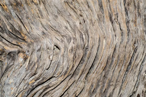 Strom Dřevěné Pozadí Textura Zavřít — Stock fotografie