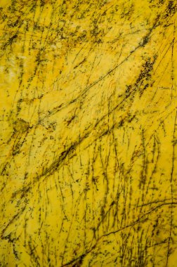 Ağaç kabuğu arkaplanı, doku