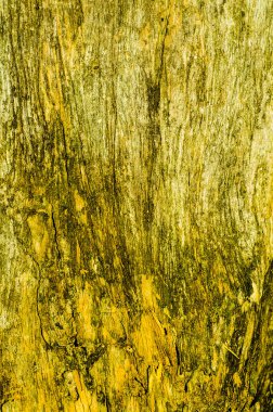 Ağaç kabuğu arkaplanı, doku
