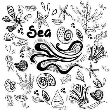 Deniz kabukları ve yosun ile