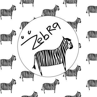 Zebra siyah şerit ile