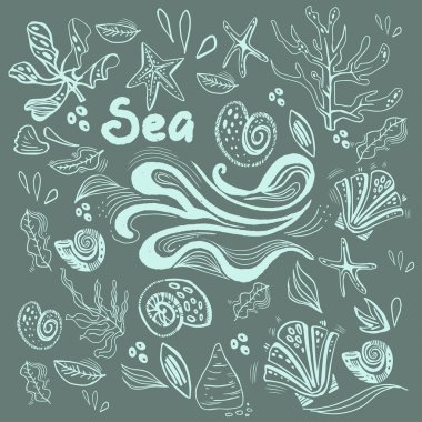 Deniz kabukları ve yosun ile