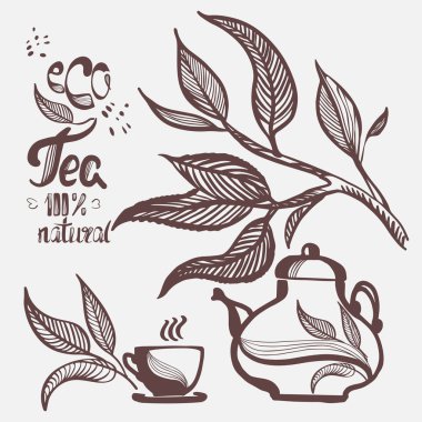 El çizilmiş eko çay çifti, çay yaprakları, küp. Vektör çizimi