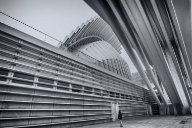 Oviedo Asturias'ta Calatrava mimarisi