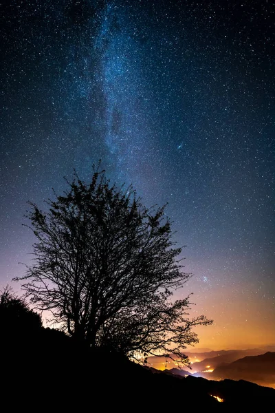 Triebe Aus Astrologen Der Nacht — Stockfoto