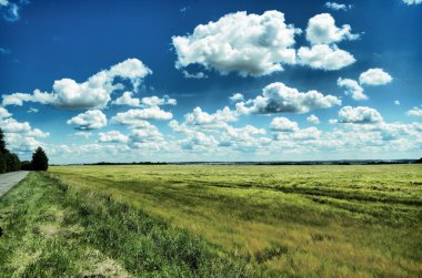 Doğa, köy, güneş, buğday, yeşil,