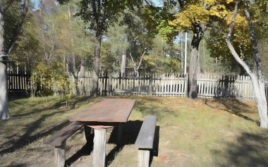 Gündüz vakti ormanda masa.