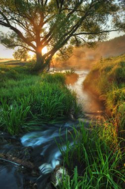 Nehrin yanında puslu sabah