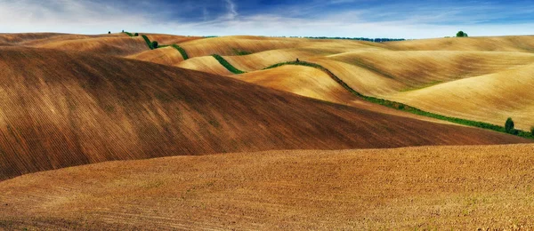 Picturesque Hilly Field Golden Ground Corrugated Field — Stock Photo, Image