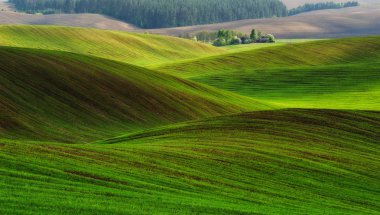 pitoresk tepelik alan. yeşil dalgalı alan