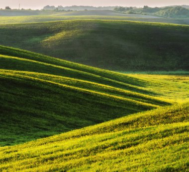 pitoresk tepelik alan. yeşil dalgalı alan