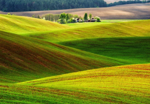 Pitoresco Campo Montanhoso Campo Ondulado Verde — Fotografia de Stock