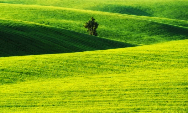 Pittoreske Heuvelachtig Gebied Groene Golvende Veld — Stockfoto