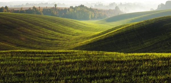 Живописное Холмистое Поле Зеленое Волнистое Поле — стоковое фото
