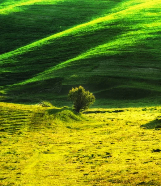 Pitoresco Campo Montanhoso Campo Ondulado Verde — Fotografia de Stock