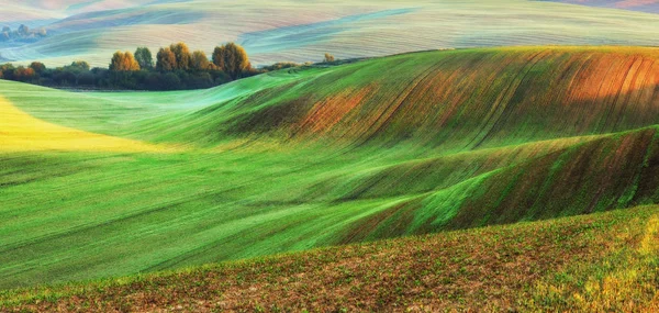 美しい丘陵フィールドです 緑の波線フィールド — ストック写真