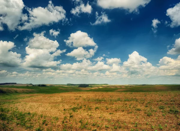 Hilly Field Picturesque Sky Field — Stock Photo, Image