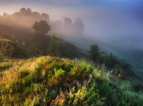 Mistige Lentemorgen Pittoreske Lente Zonsopgang — Stockfoto