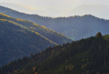 Sonbahar akşam Karpat Dağları'nda. gün batımında doğal eğim