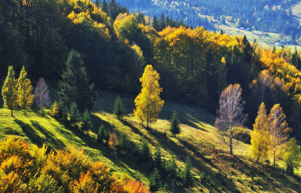 Autumn evening in the Carpathian mountains. scenic slope at sunset