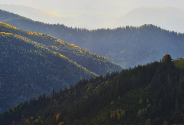 Jesienny Wieczór Karpatach Sceniczny Stok Zachodzie Słońca — Zdjęcie stockowe