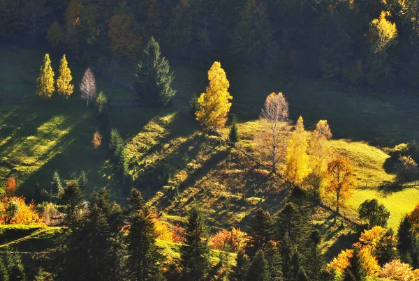 Jesienny Wieczór Karpatach Sceniczny Stok Zachodzie Słońca — Zdjęcie stockowe