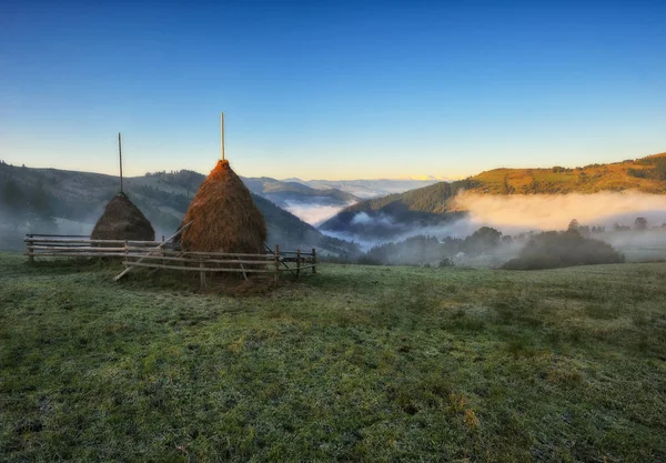 Podzimní Svítání Karpatských Horách Malebné Mlhavé Ráno — Stock fotografie