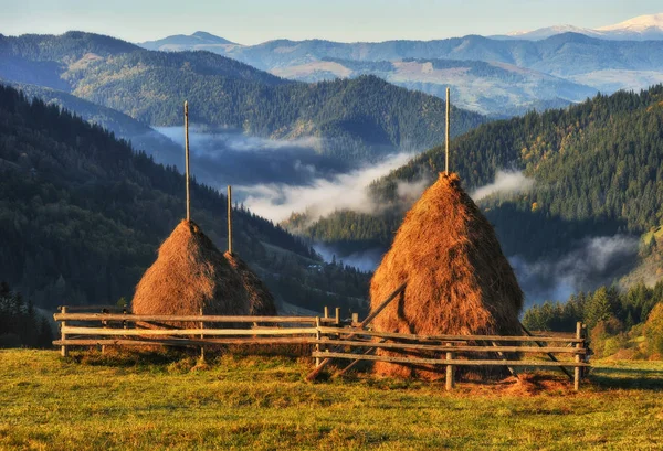 Herfst Zonsopgang Karpaten Pittoreske Mistige Ochtend — Stockfoto