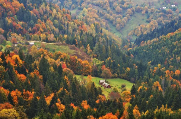 Autumn Sunrise Carpathian Mountains Picturesque Foggy Morning — Stock Photo, Image