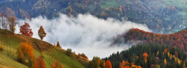 秋天的日出在喀尔巴泰山脉 风景如画的雾蒙蒙的早晨 — 图库照片