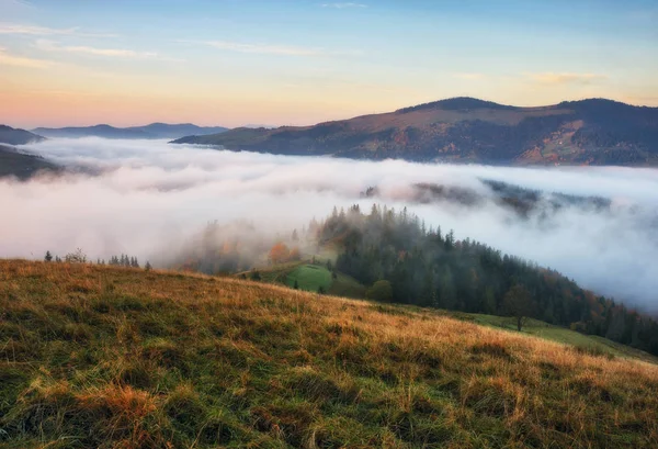 Podzimní Svítání Karpatských Horách Malebné Mlhavé Ráno — Stock fotografie